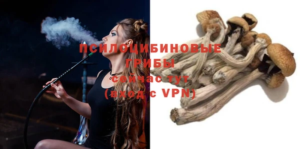 крисы Бронницы