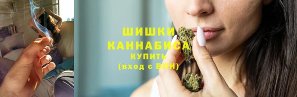 крисы Бронницы
