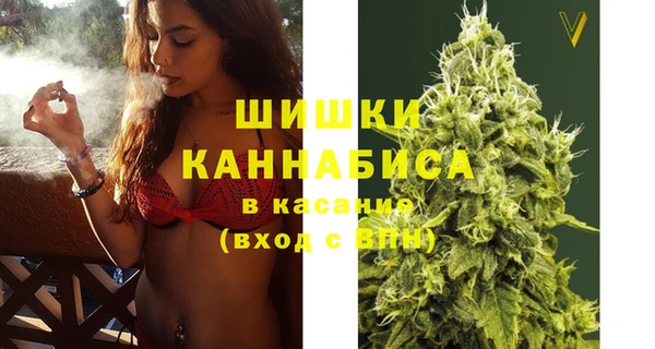 молекула духа Бородино