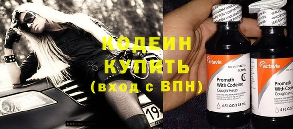 прущие крисы Болотное