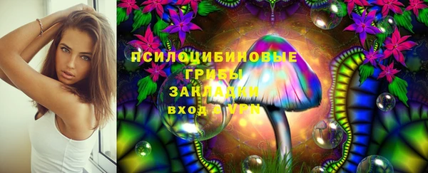 крисы Бронницы