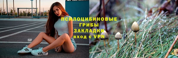 крисы Бронницы