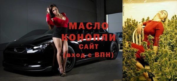 молекула духа Бородино