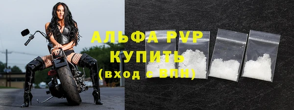 молекула духа Бородино
