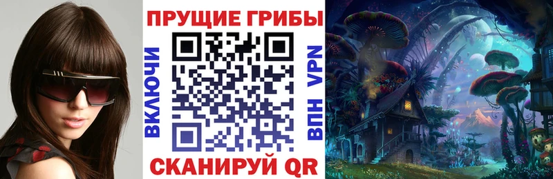 Псилоцибиновые грибы Psilocybe цены Вичуга